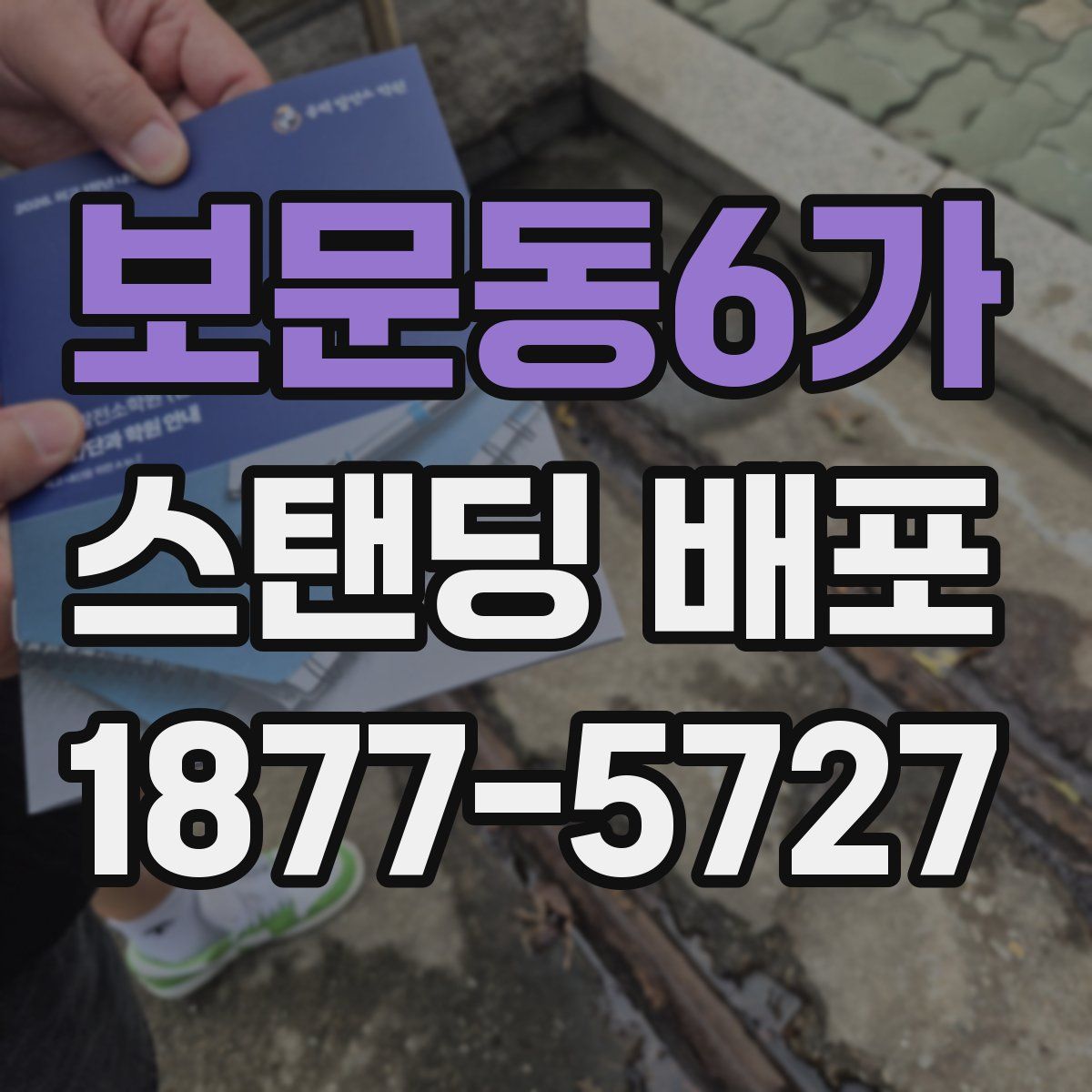 보문동6가 스탠딩 배포