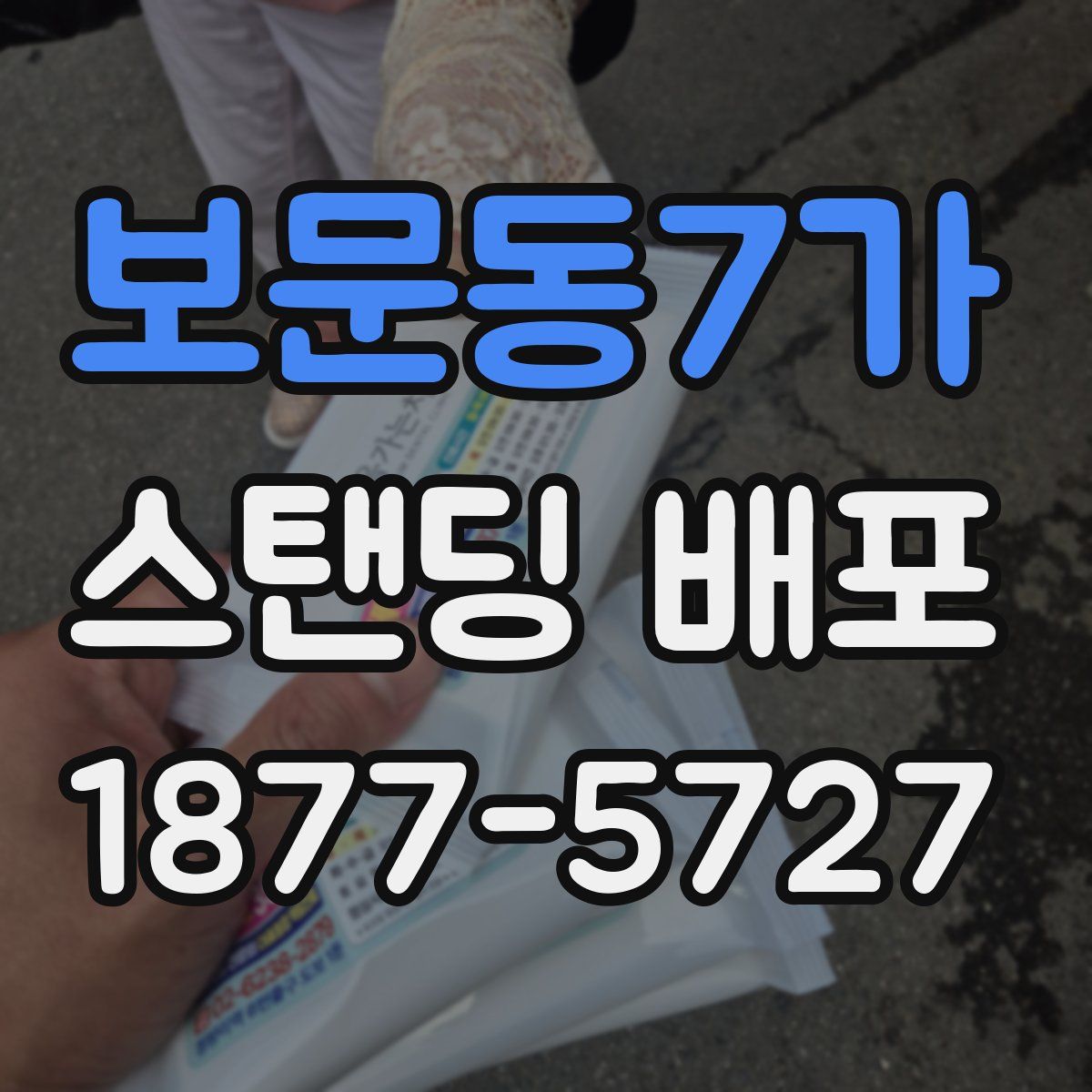 보문동7가 스탠딩 배포