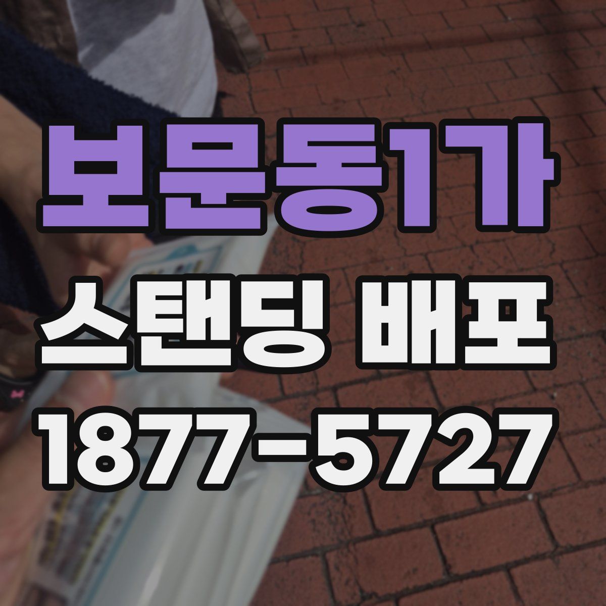 보문동1가 스탠딩 배포