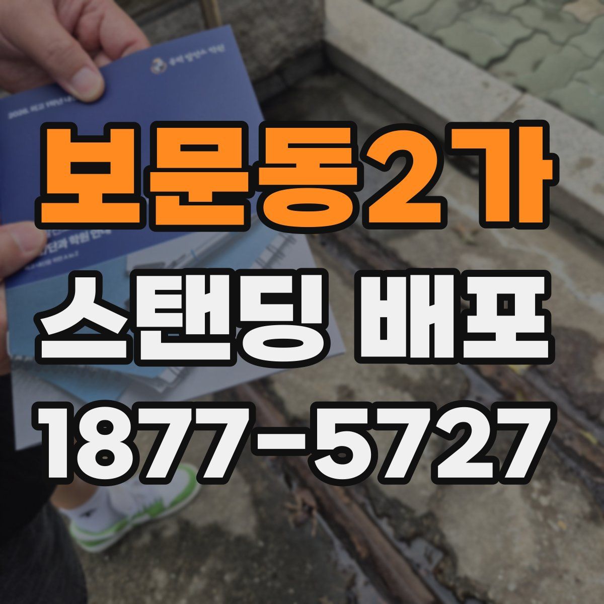 보문동2가 스탠딩 배포