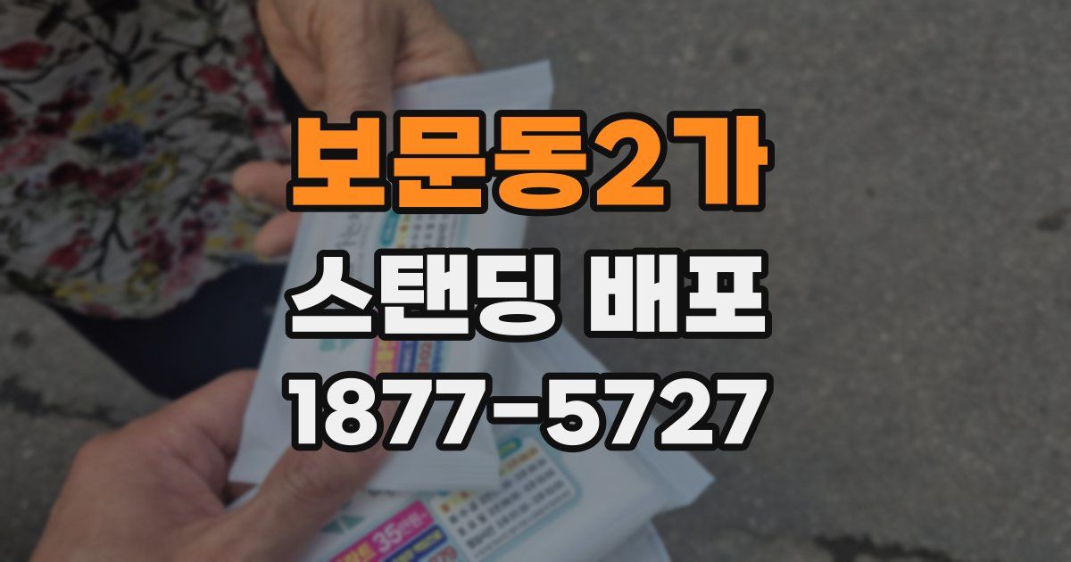 보문동2가 스탠딩 배포