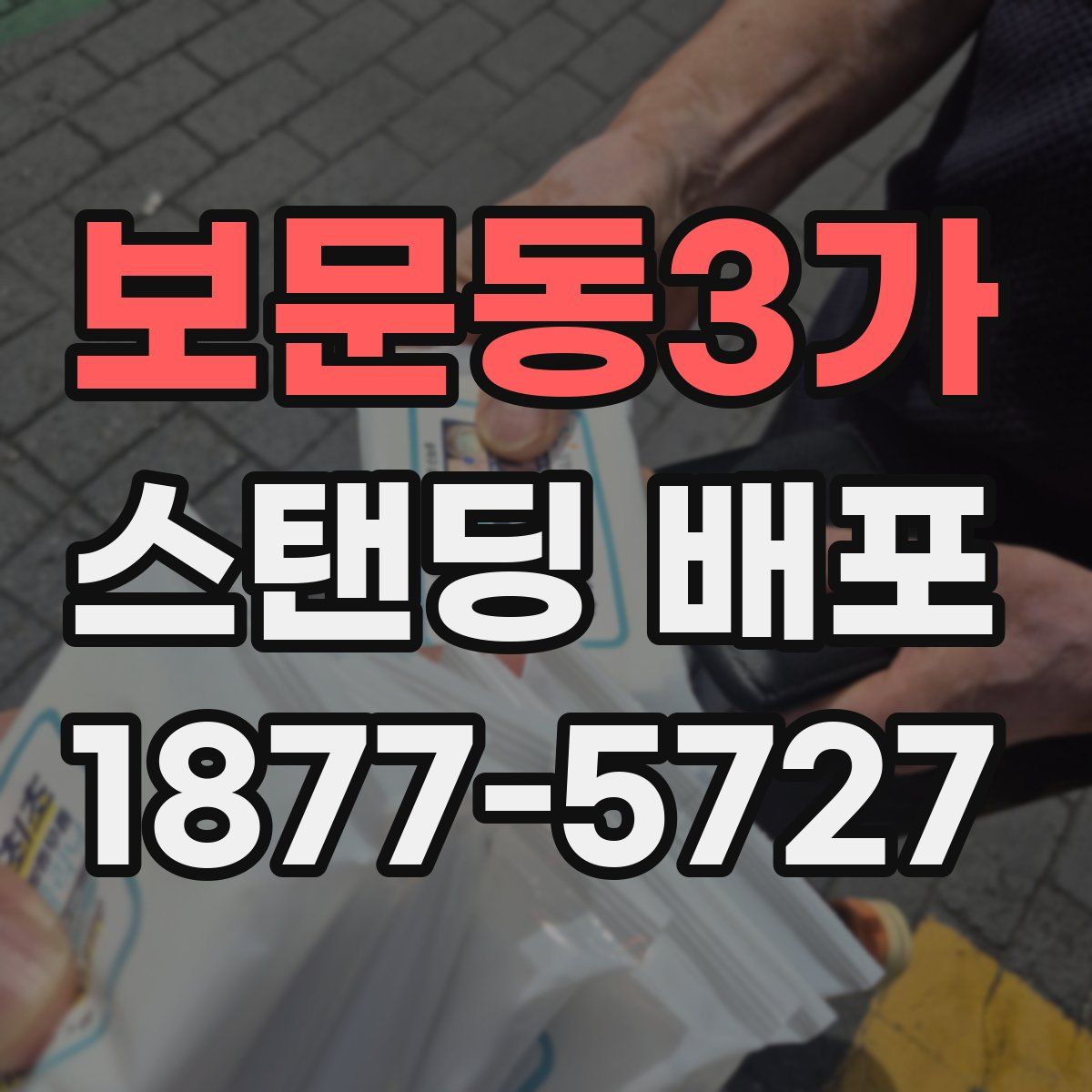 보문동3가 스탠딩 배포