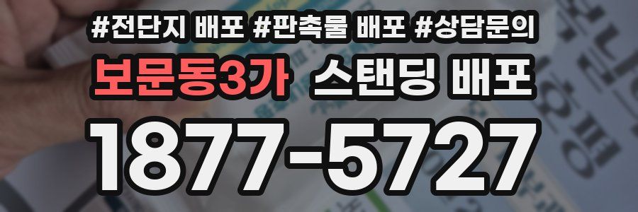보문동3가 스탠딩 배포