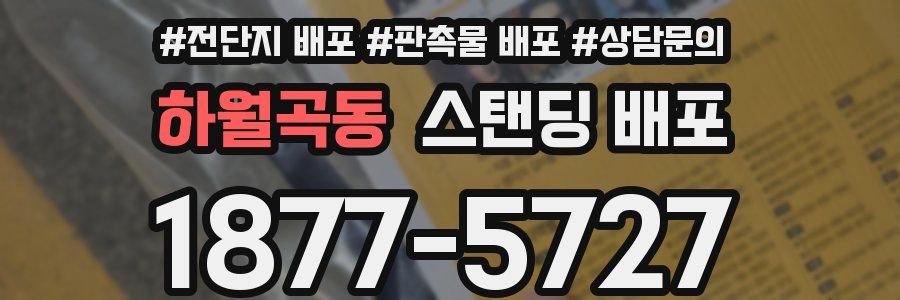하월곡동 스탠딩 배포