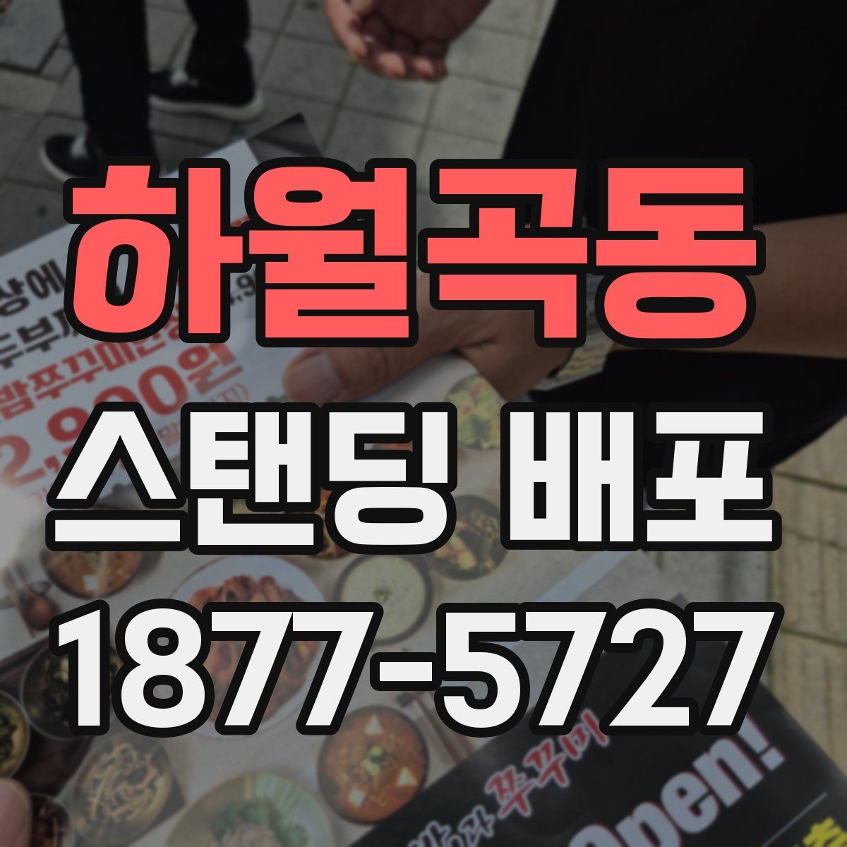 하월곡동 스탠딩 배포