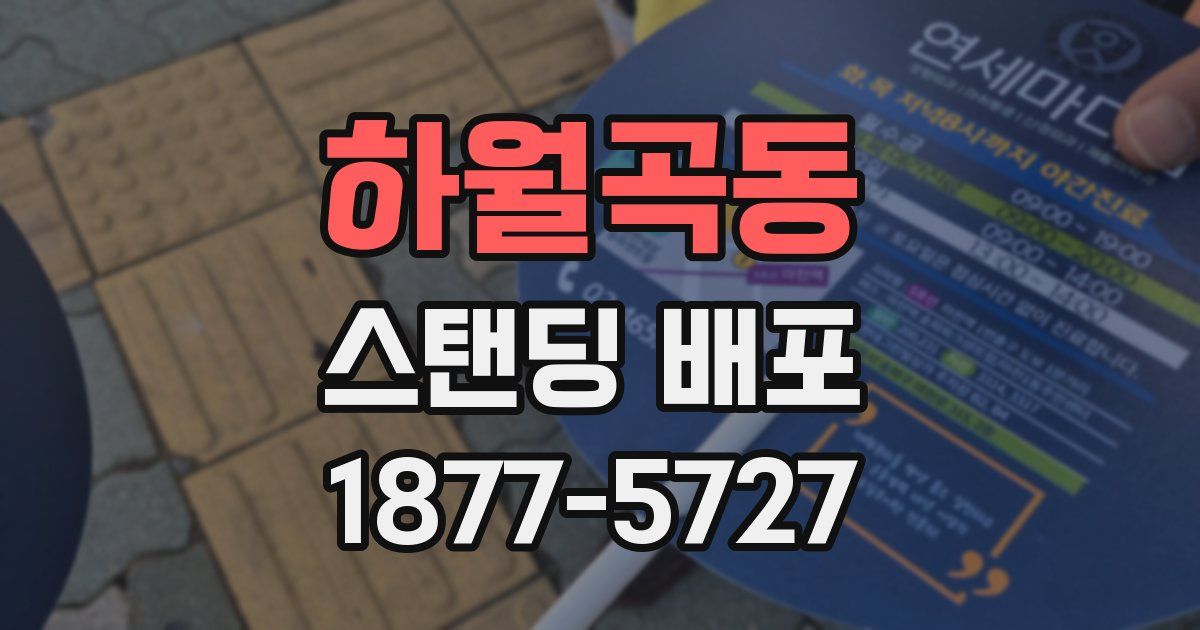 하월곡동 스탠딩 배포