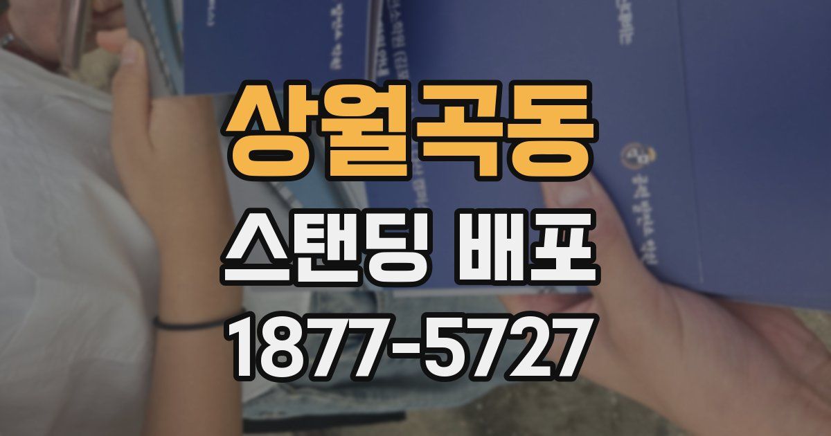 상월곡동 스탠딩 배포