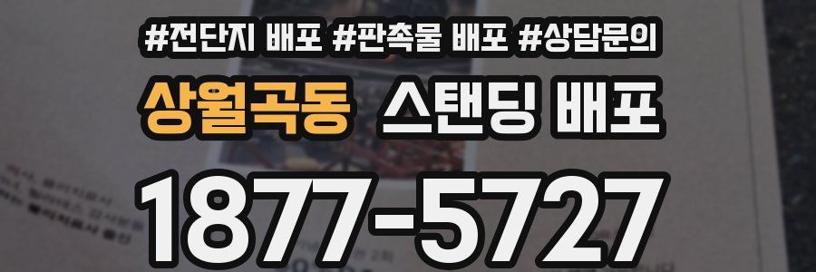 상월곡동 스탠딩 배포