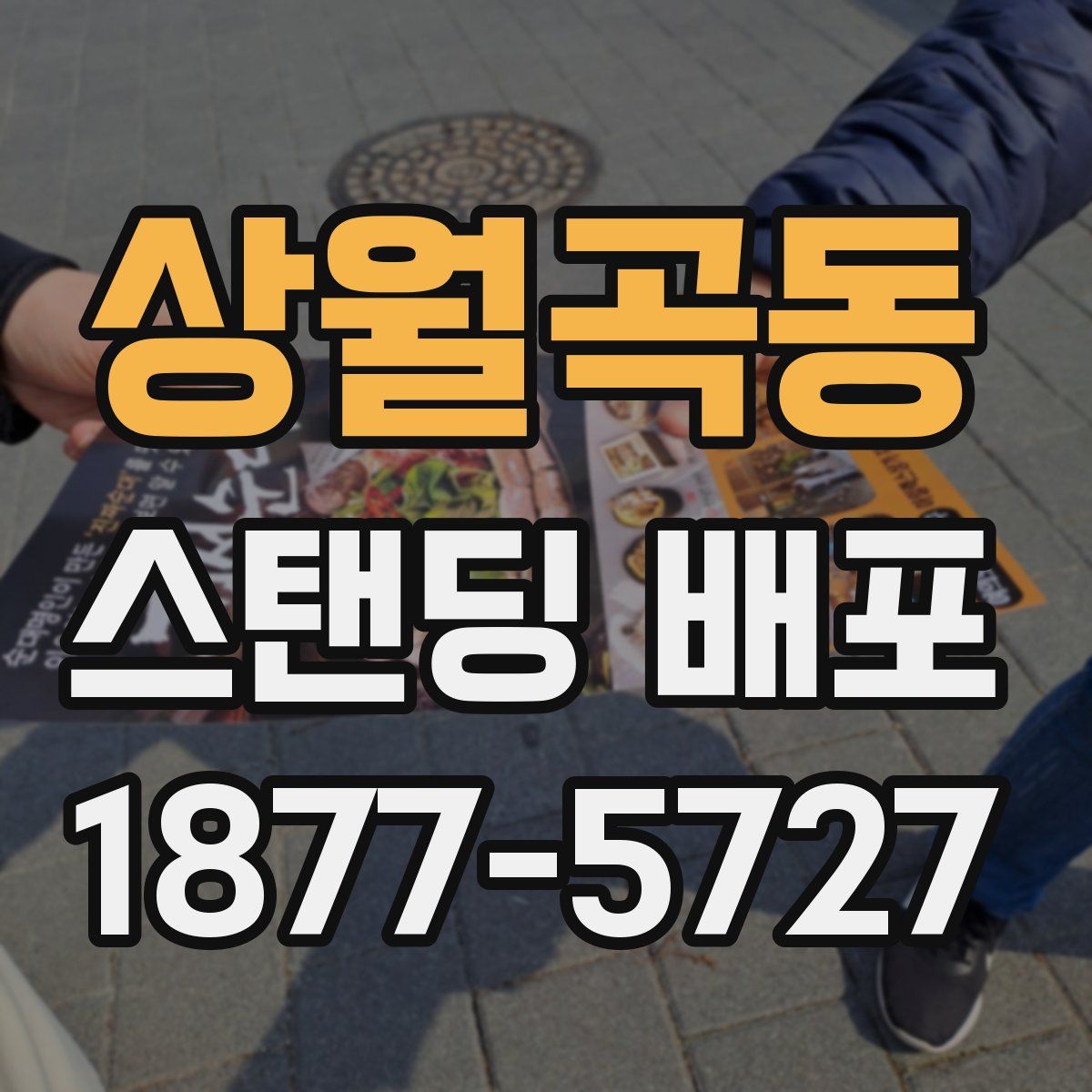 상월곡동 스탠딩 배포