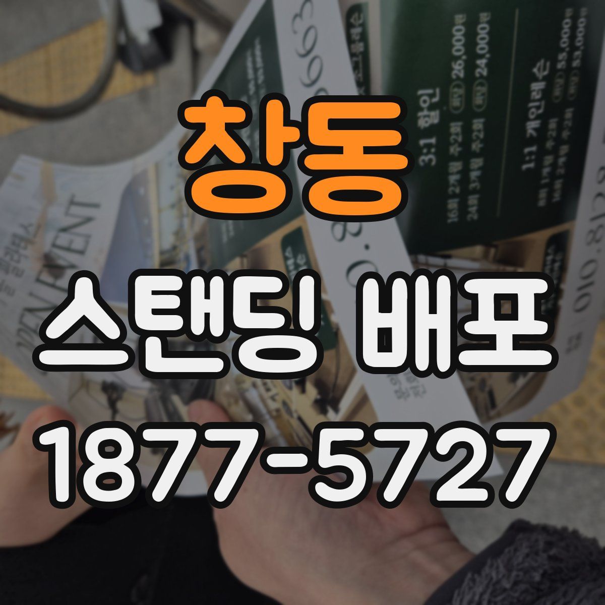 창동 스탠딩 배포