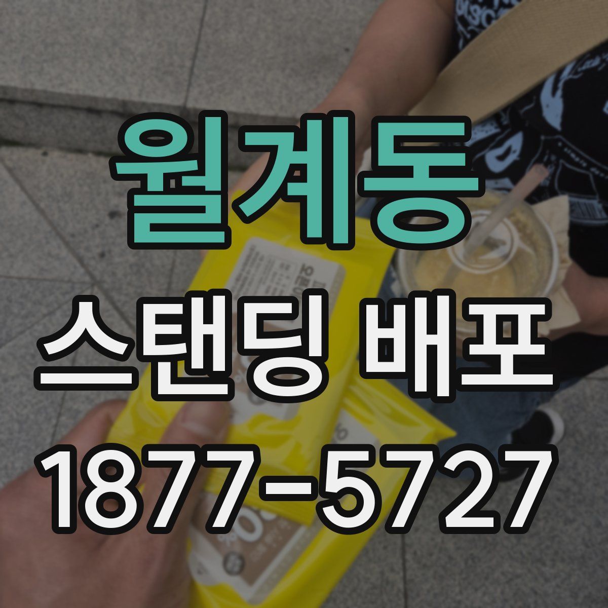 월계동 스탠딩 배포