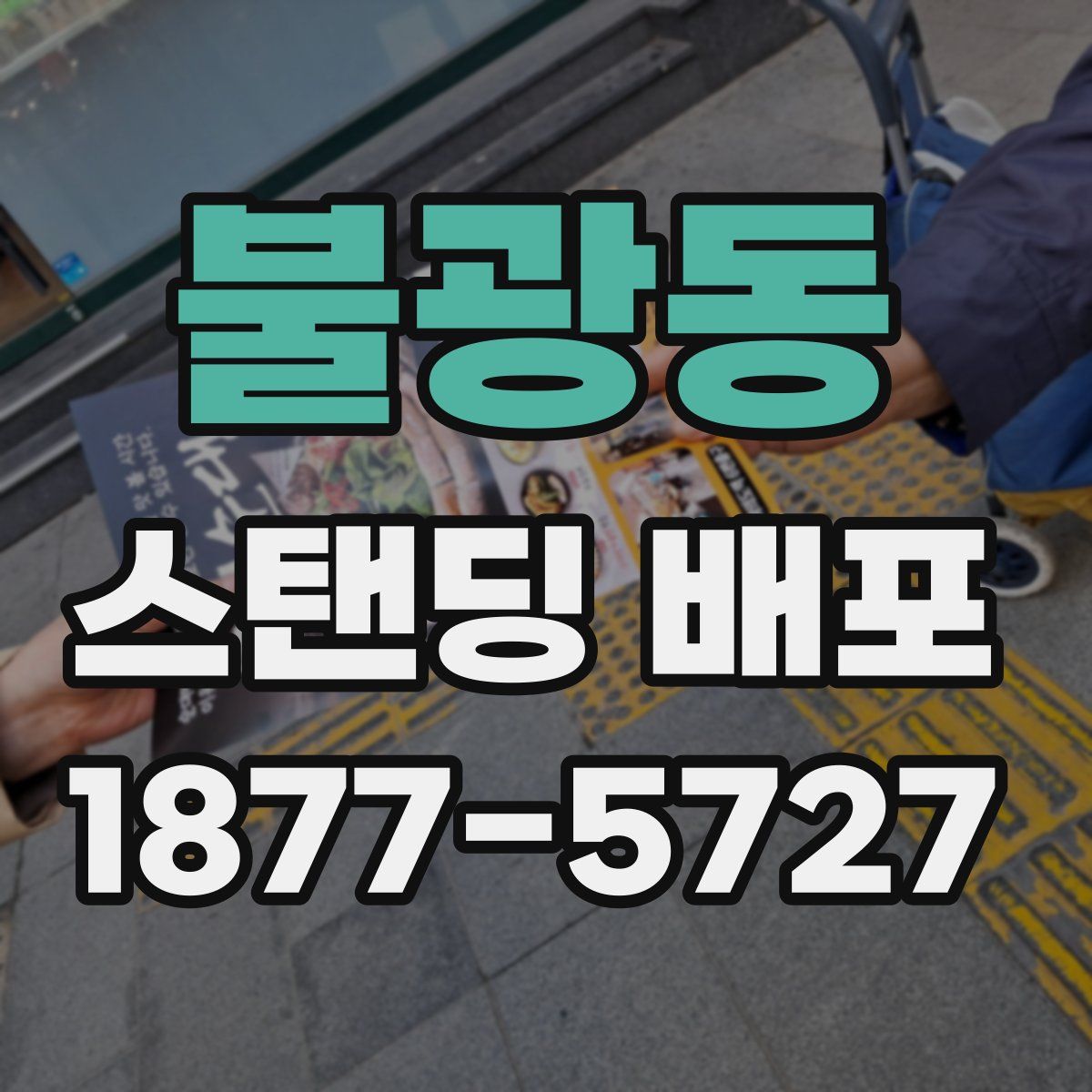 불광동 스탠딩 배포