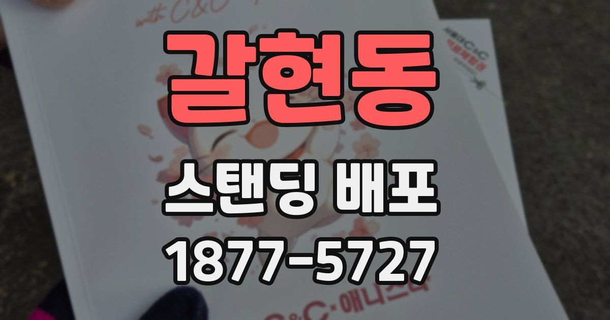 갈현동 스탠딩 배포