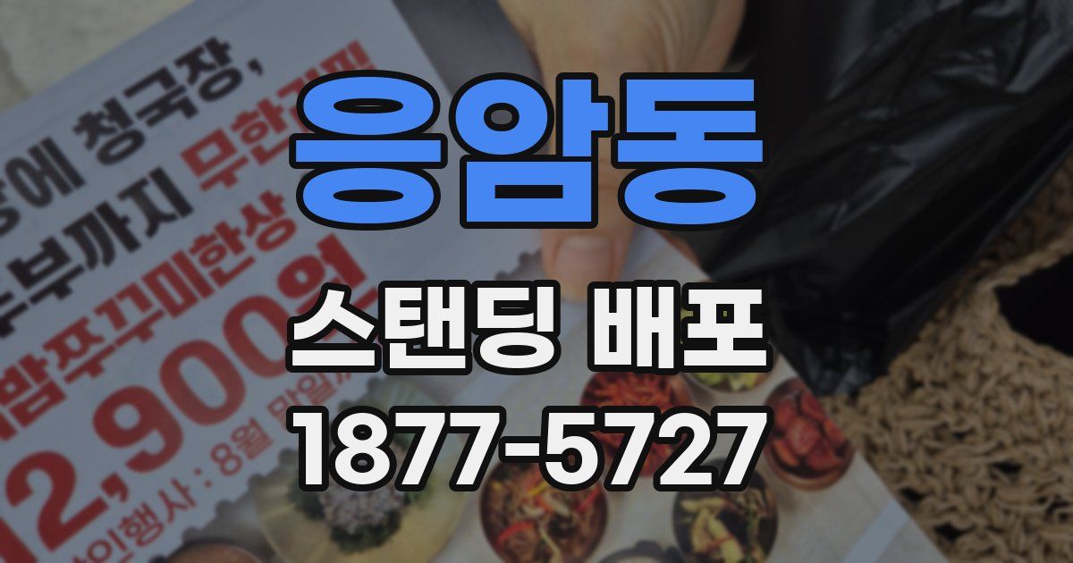 응암동 스탠딩 배포