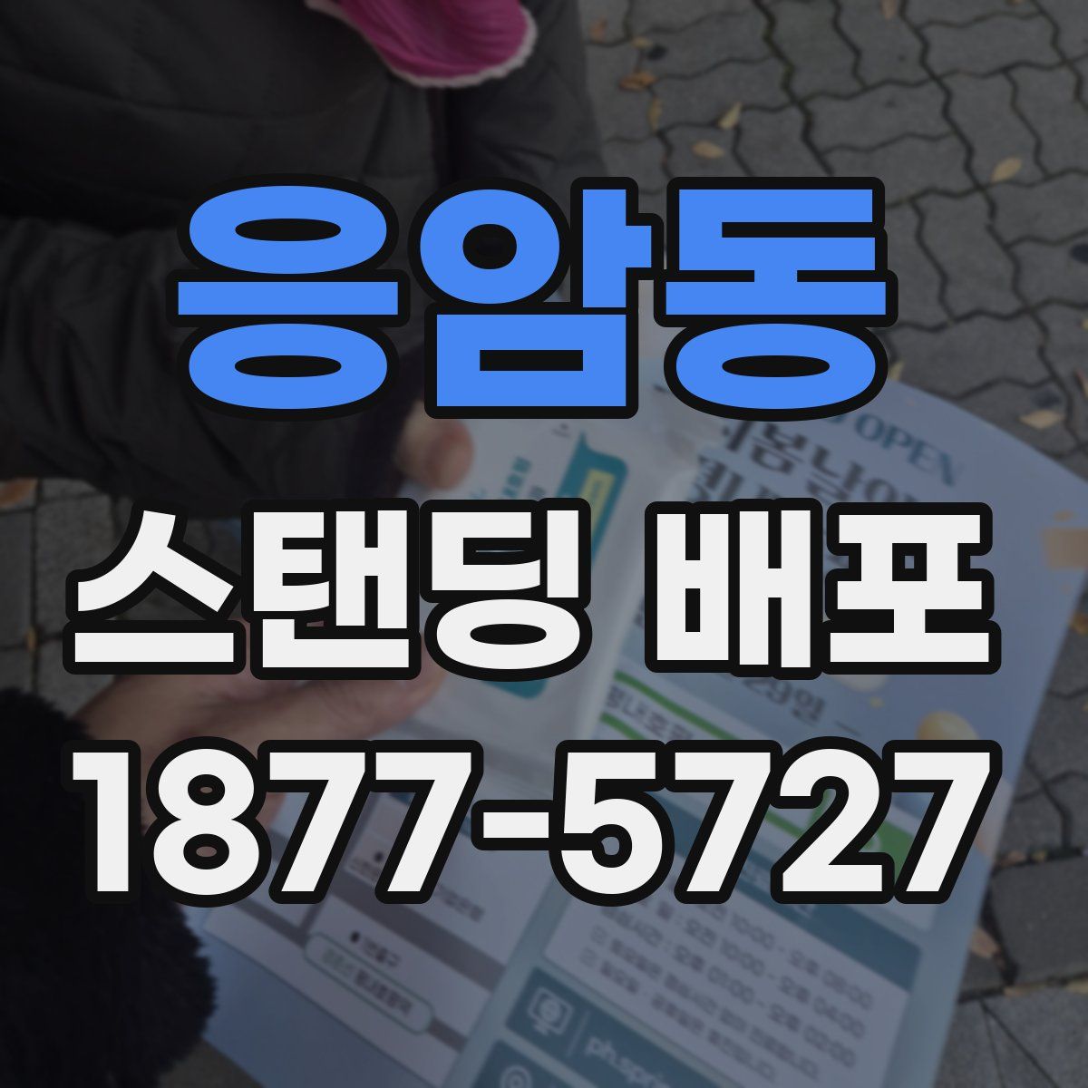 응암동 스탠딩 배포