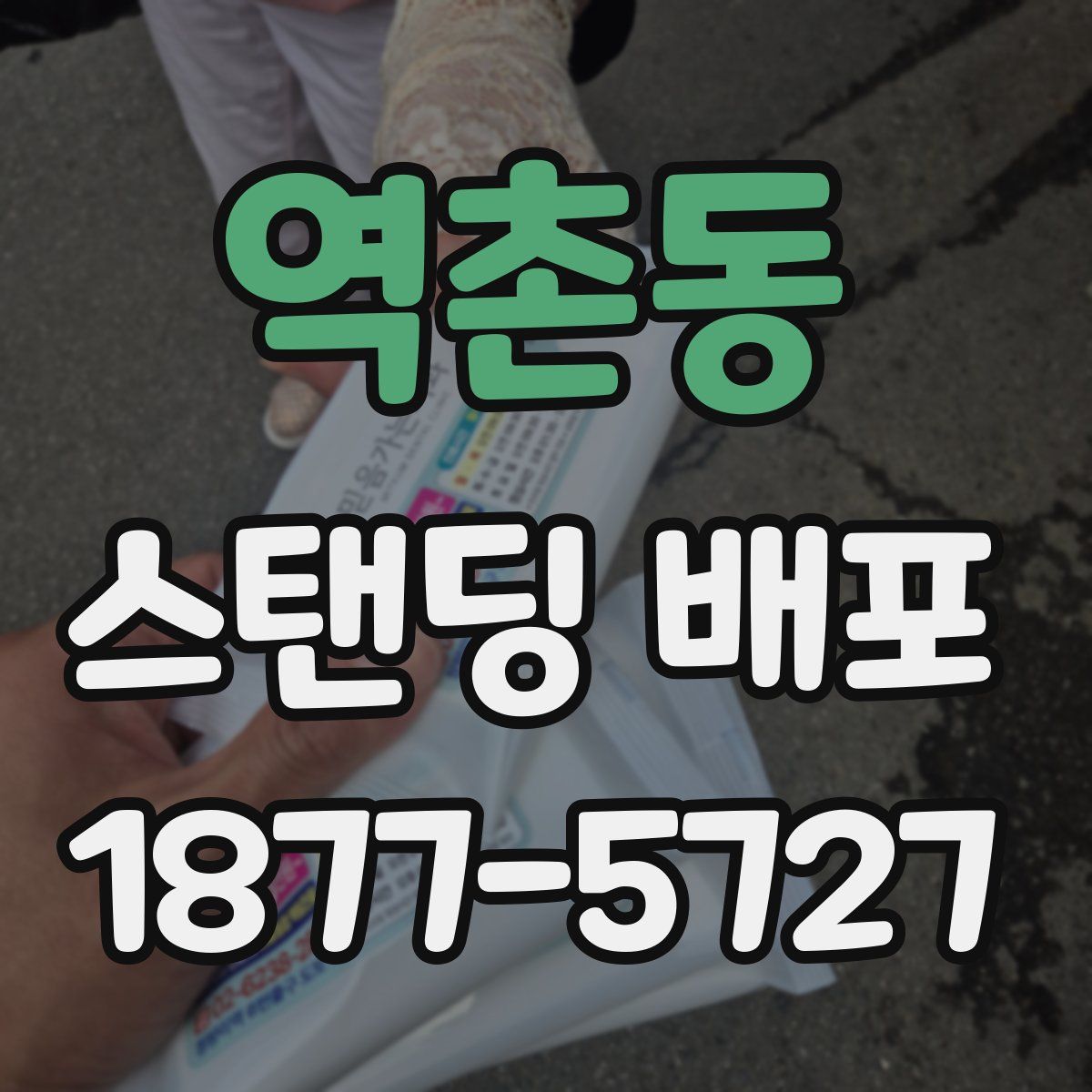 역촌동 스탠딩 배포