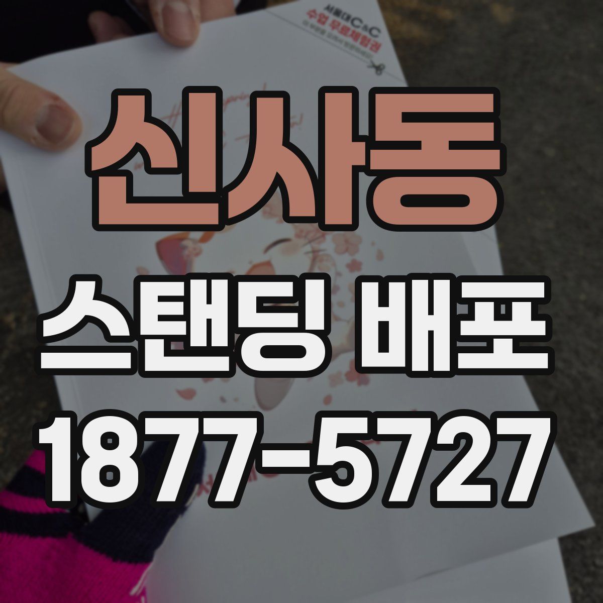 신사동 스탠딩 배포