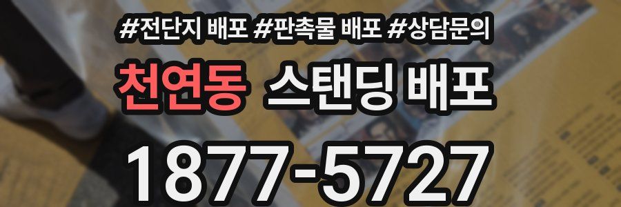 천연동 스탠딩 배포