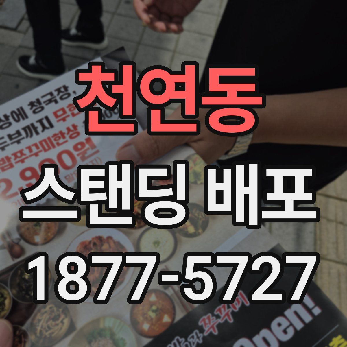 천연동 스탠딩 배포