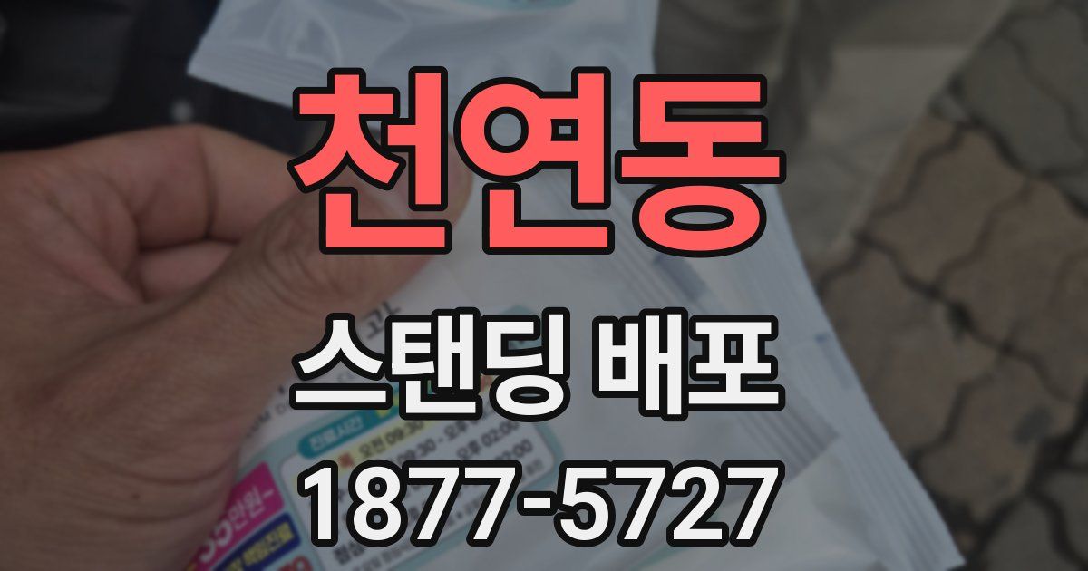 천연동 스탠딩 배포
