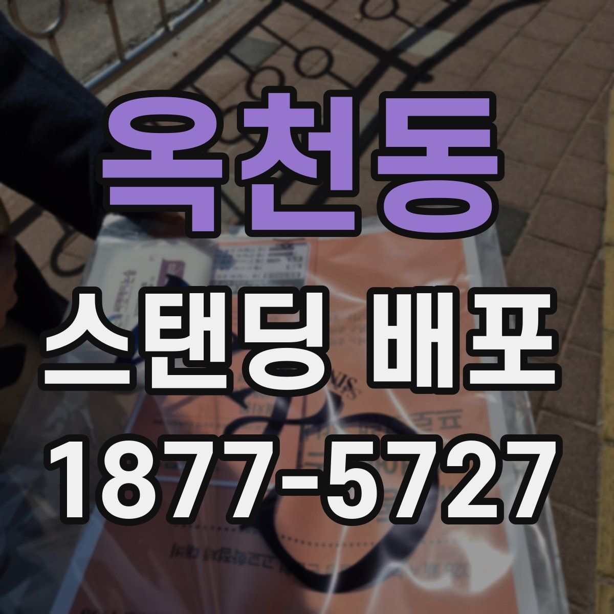옥천동 스탠딩 배포