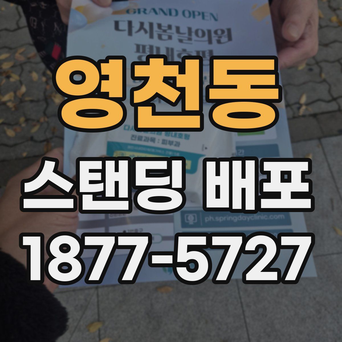 영천동 스탠딩 배포