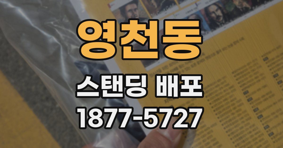 영천동 스탠딩 배포
