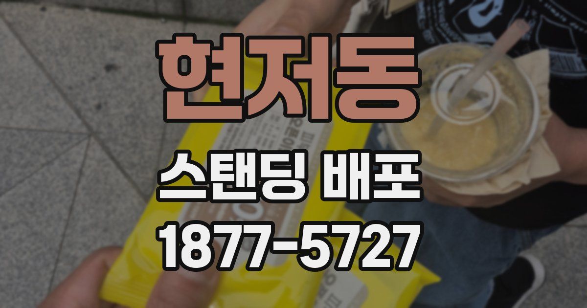 현저동 스탠딩 배포