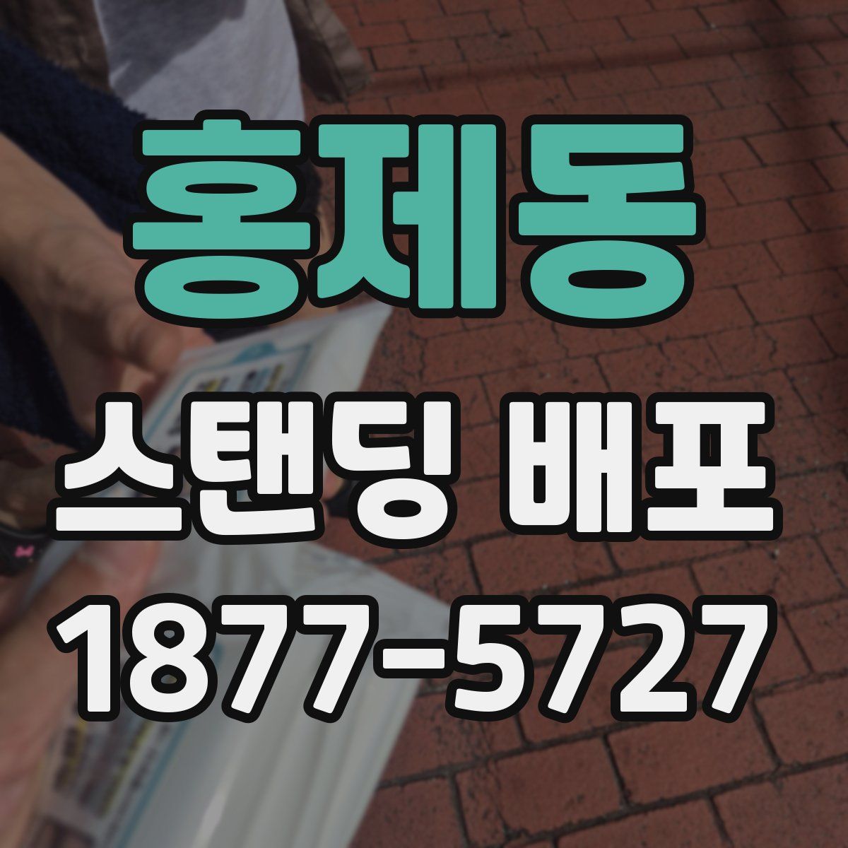홍제동 스탠딩 배포