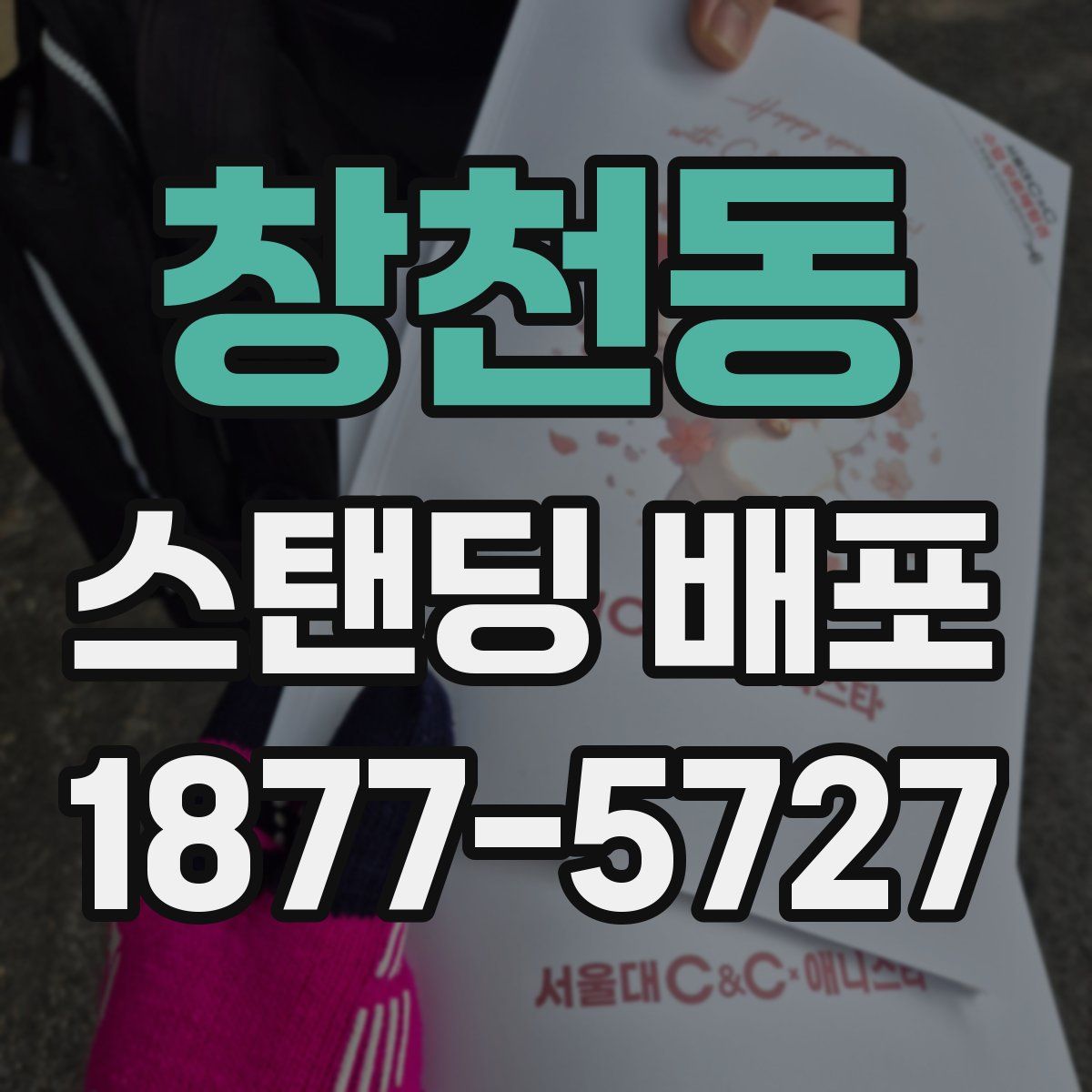 창천동 스탠딩 배포