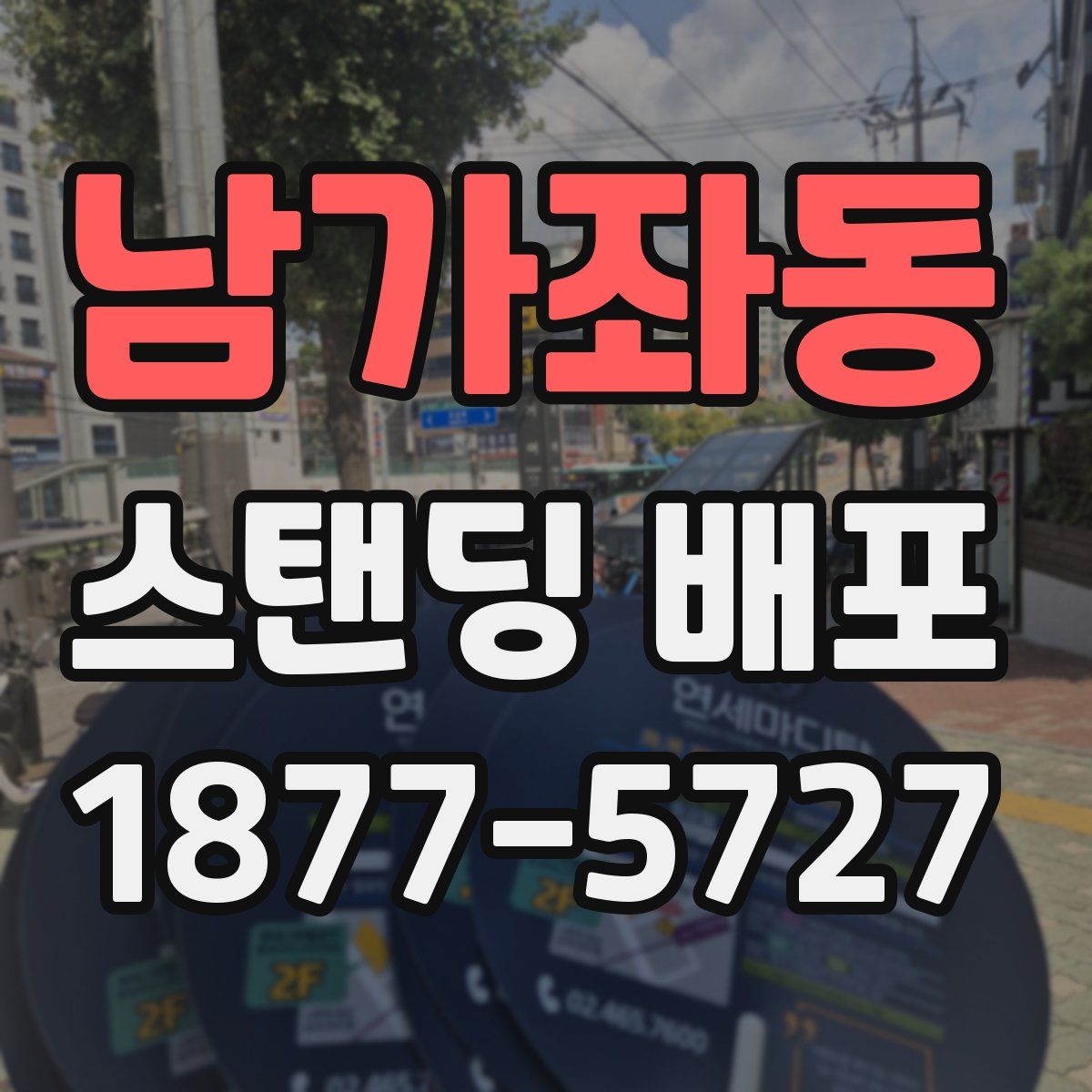 남가좌동 스탠딩 배포