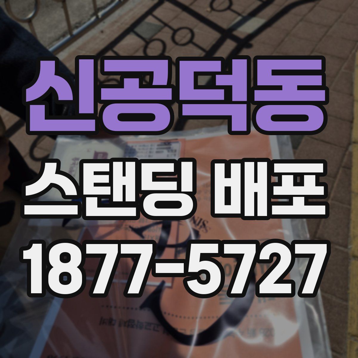 신공덕동 스탠딩 배포