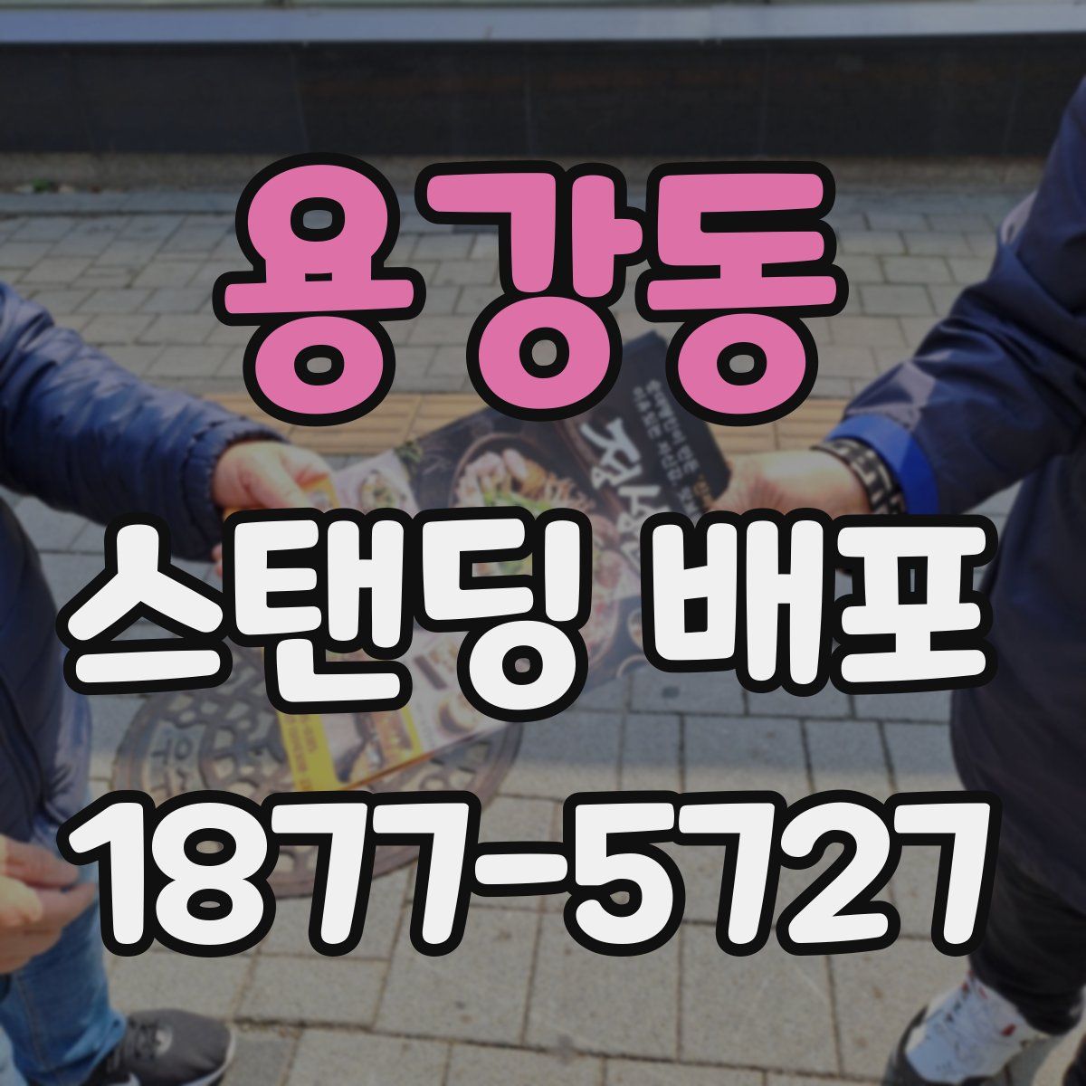 용강동 스탠딩 배포