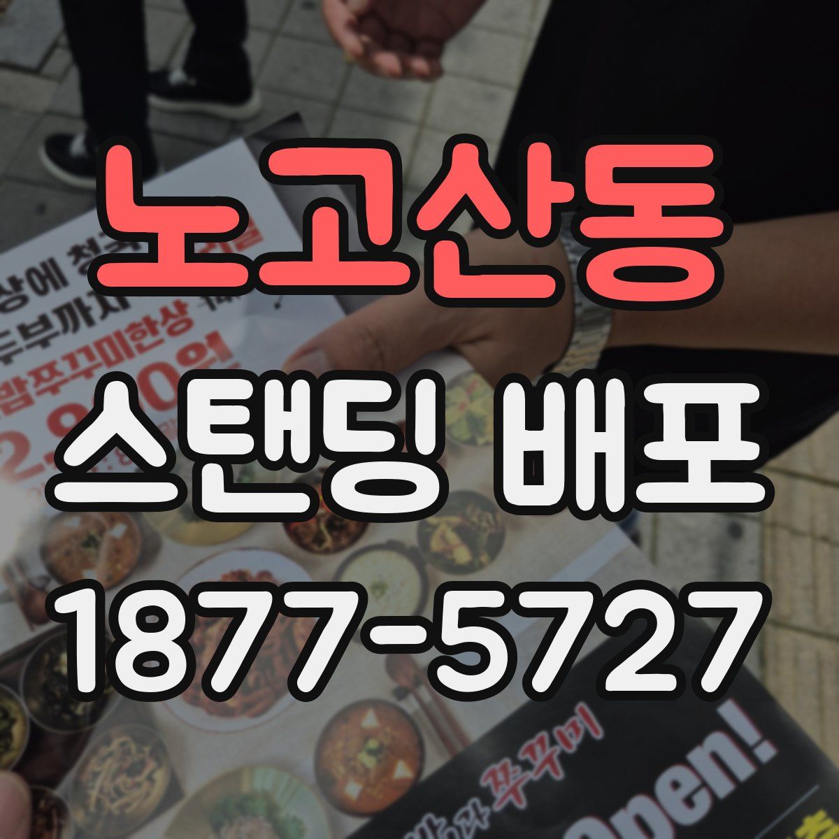 노고산동 스탠딩 배포