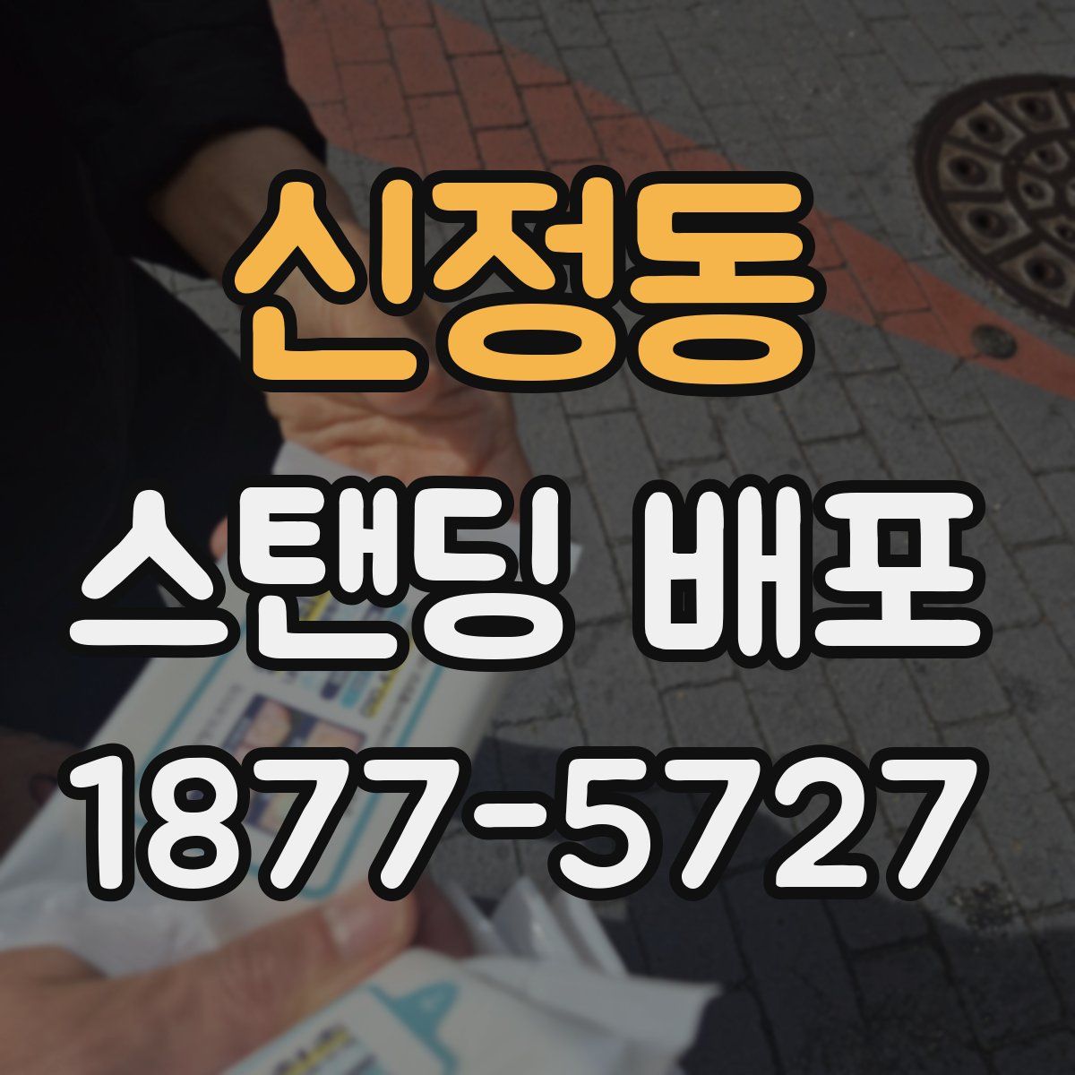 신정동 스탠딩 배포
