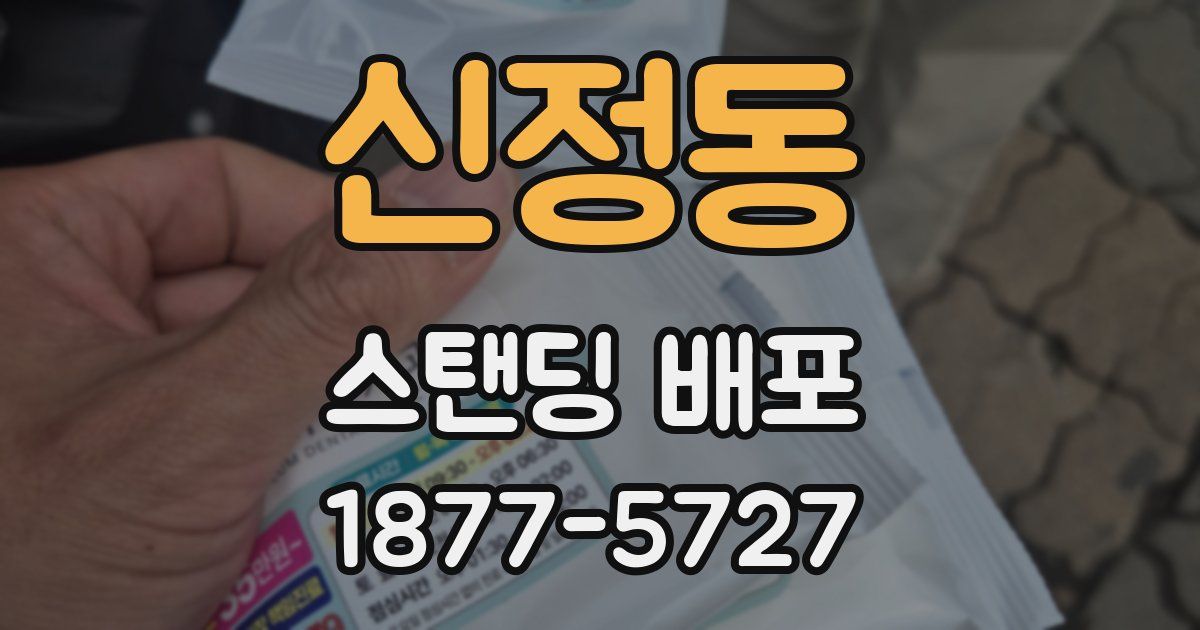 신정동 스탠딩 배포