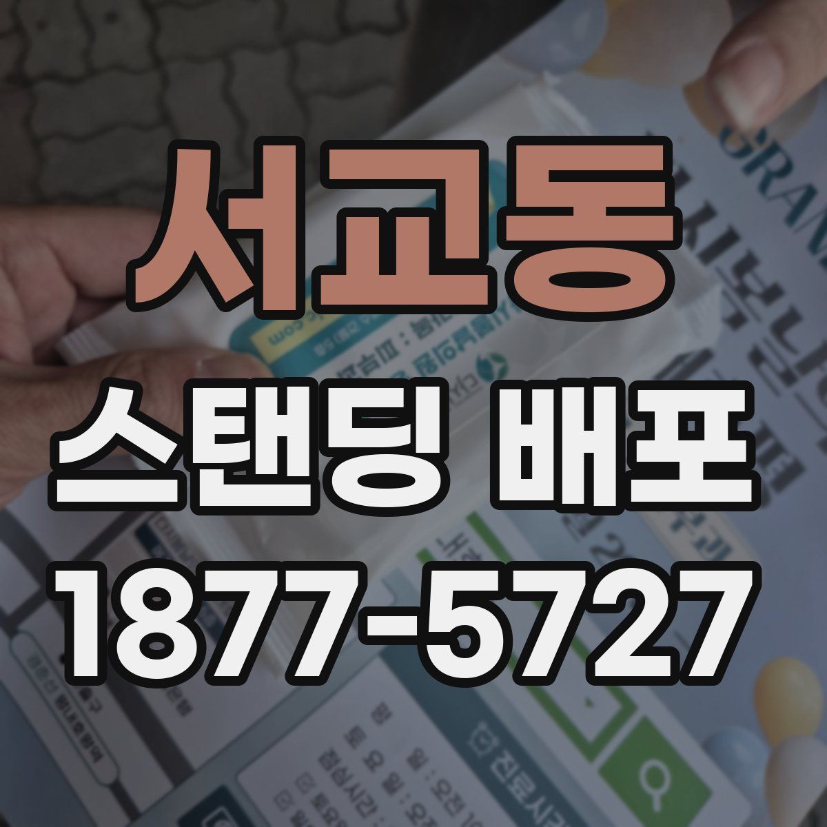 서교동 스탠딩 배포