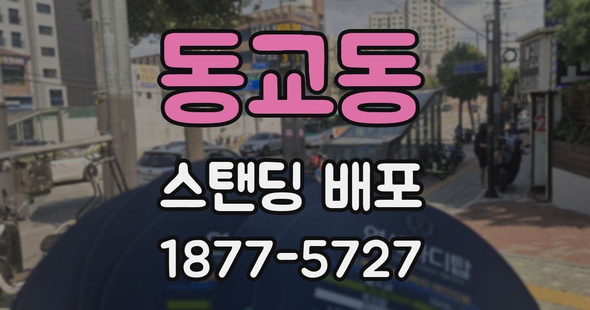 동교동 스탠딩 배포
