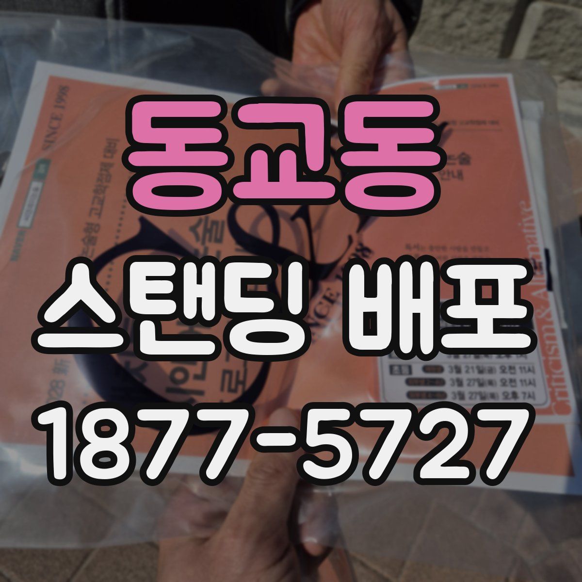 동교동 스탠딩 배포