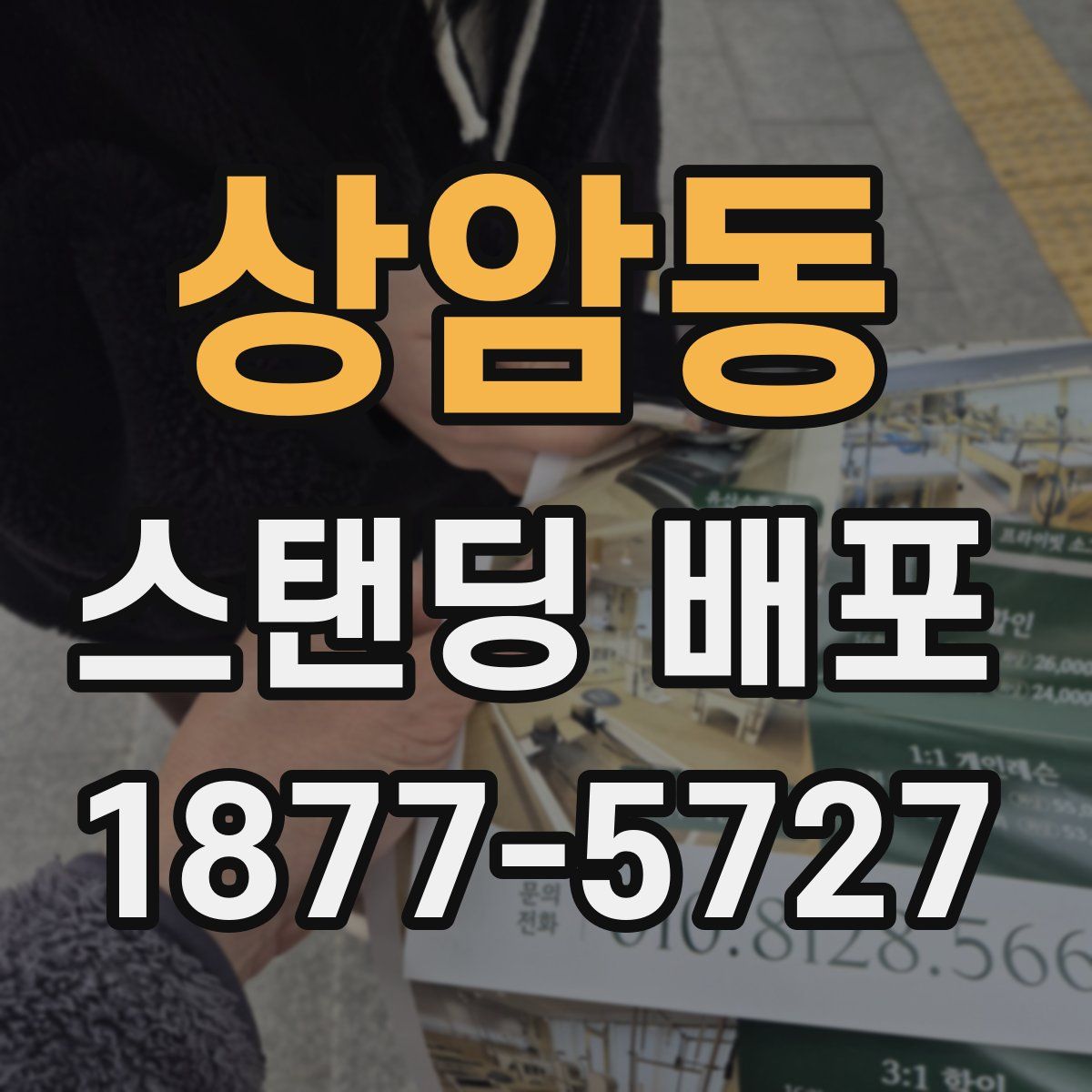 상암동 스탠딩 배포