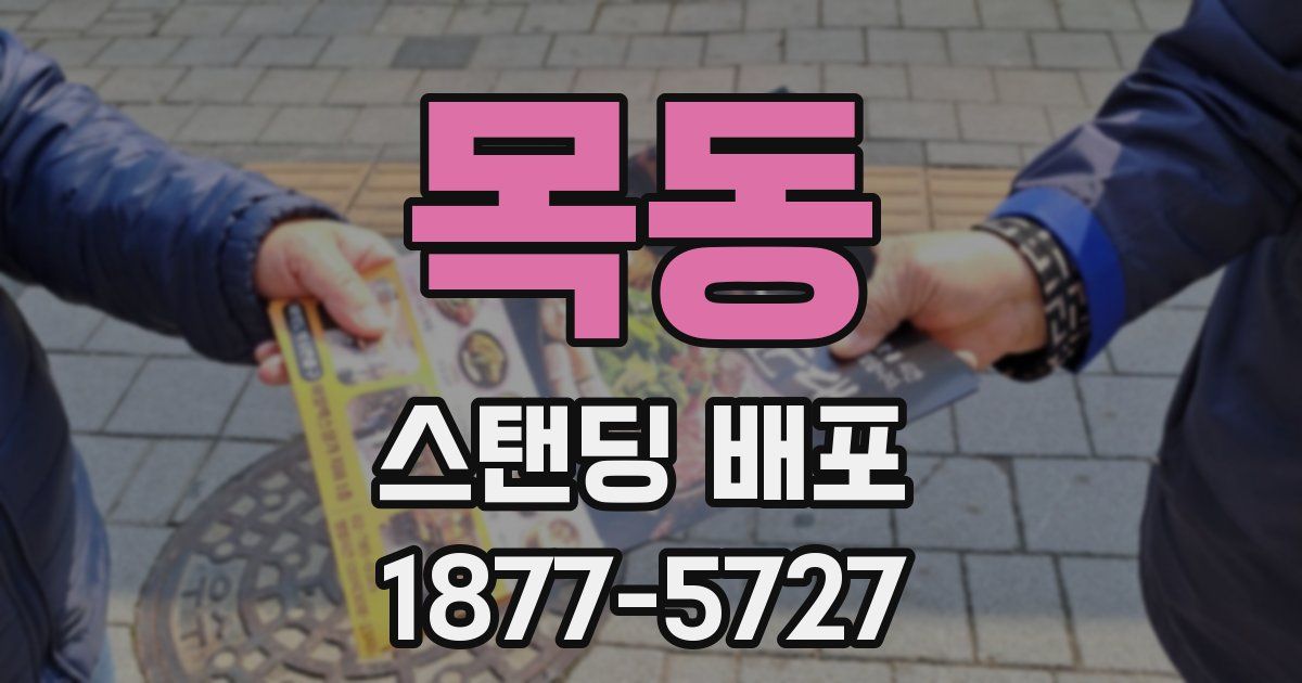 목동 스탠딩 배포