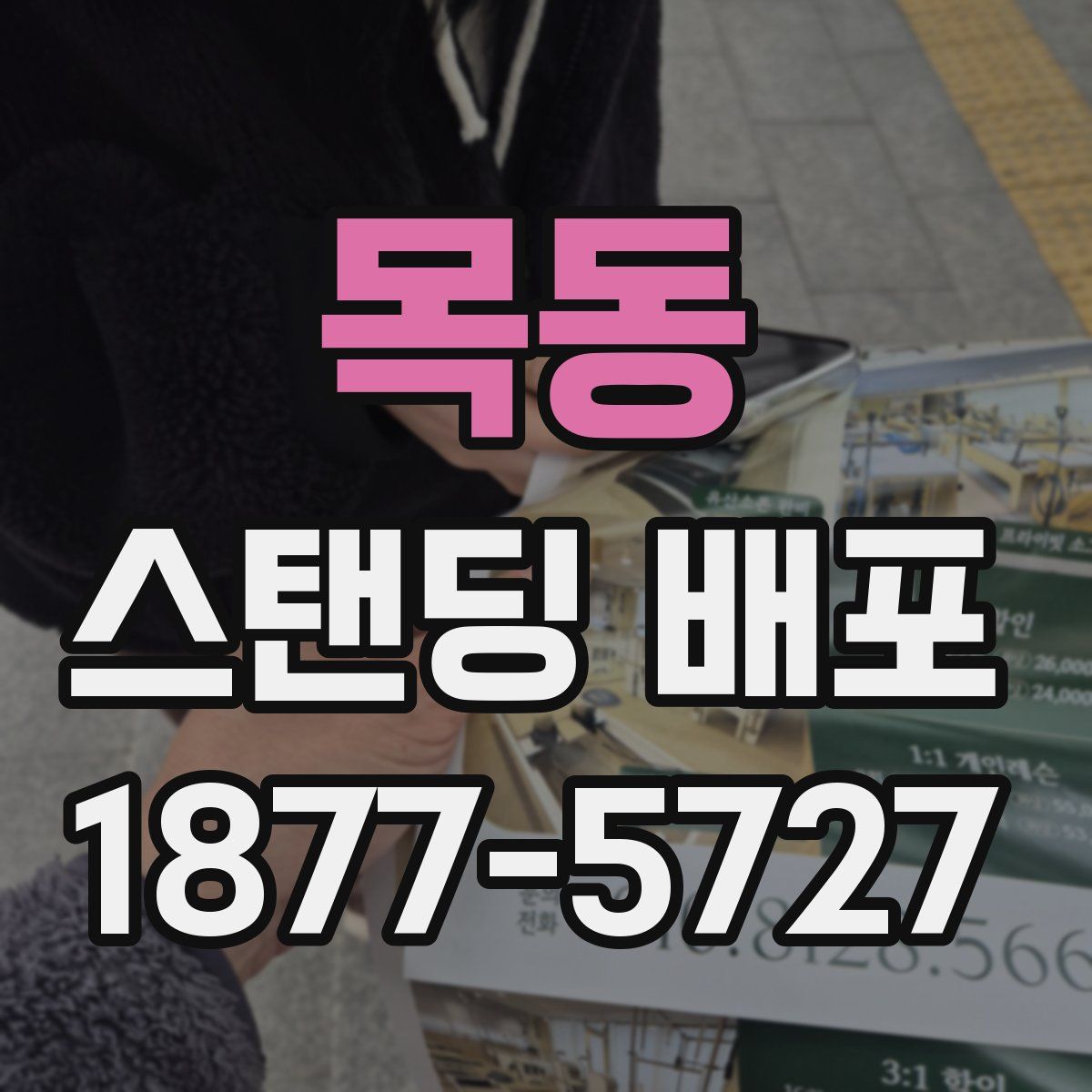 목동 스탠딩 배포
