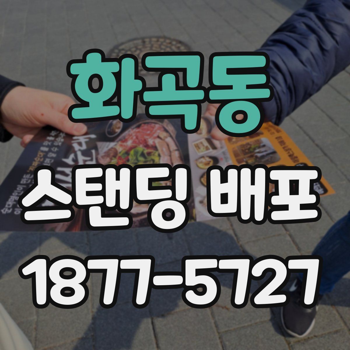 화곡동 스탠딩 배포