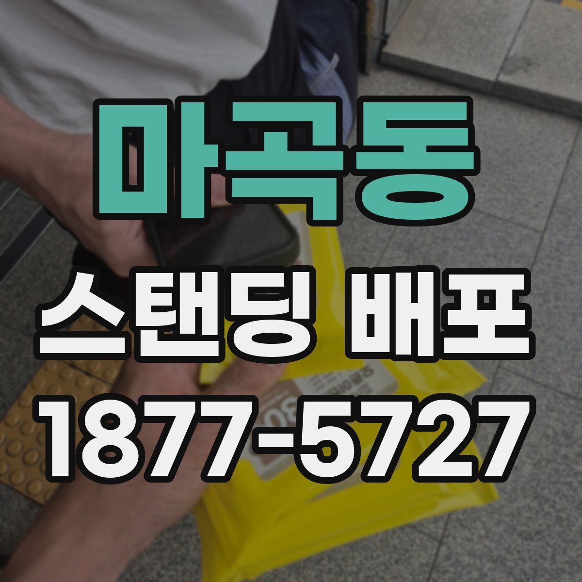 마곡동 스탠딩 배포