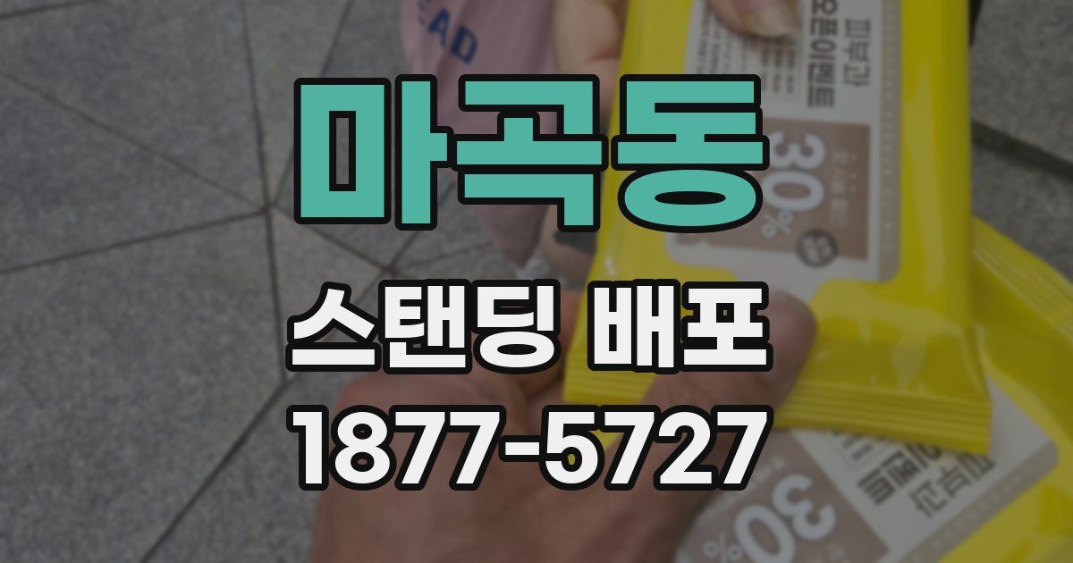 마곡동 스탠딩 배포
