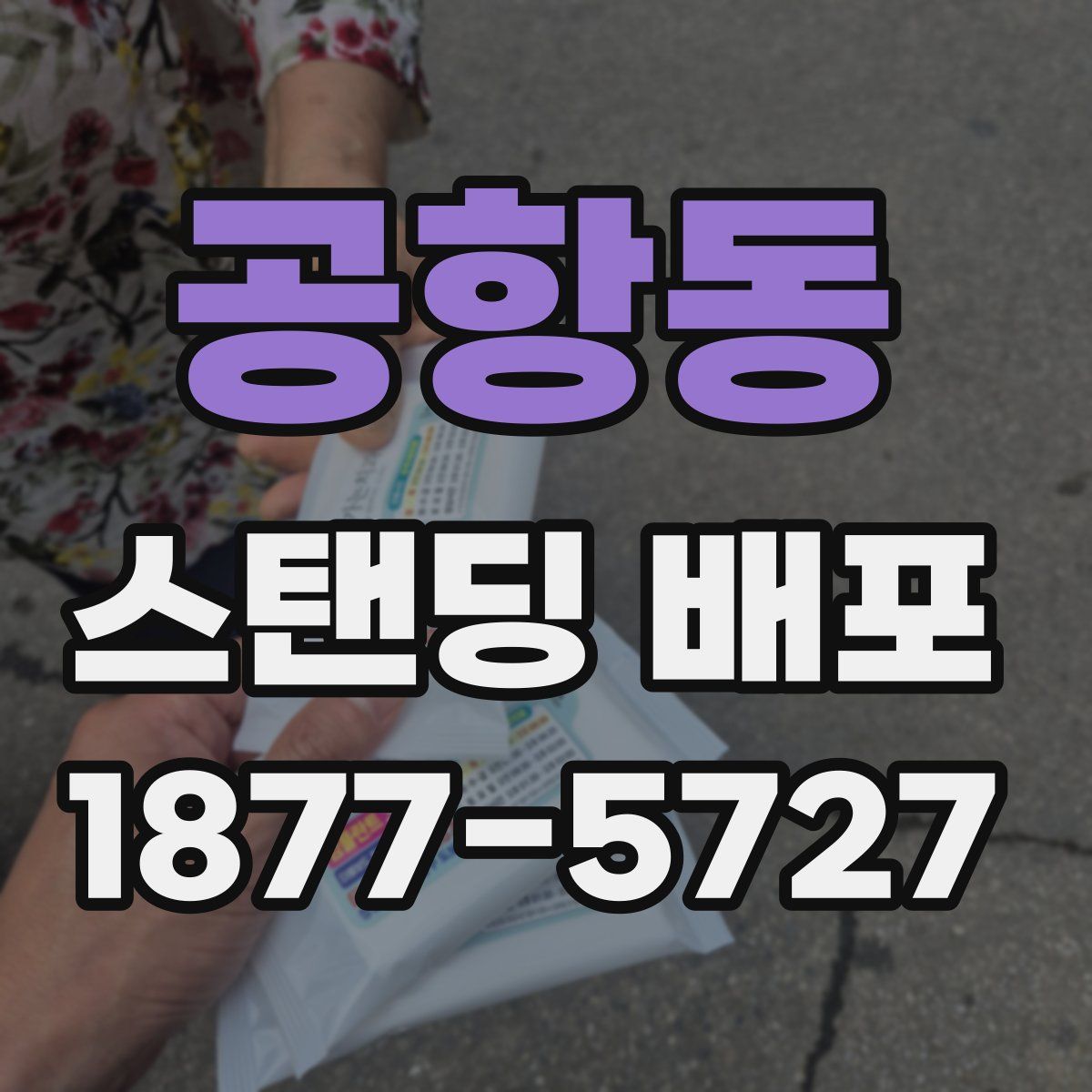 공항동 스탠딩 배포