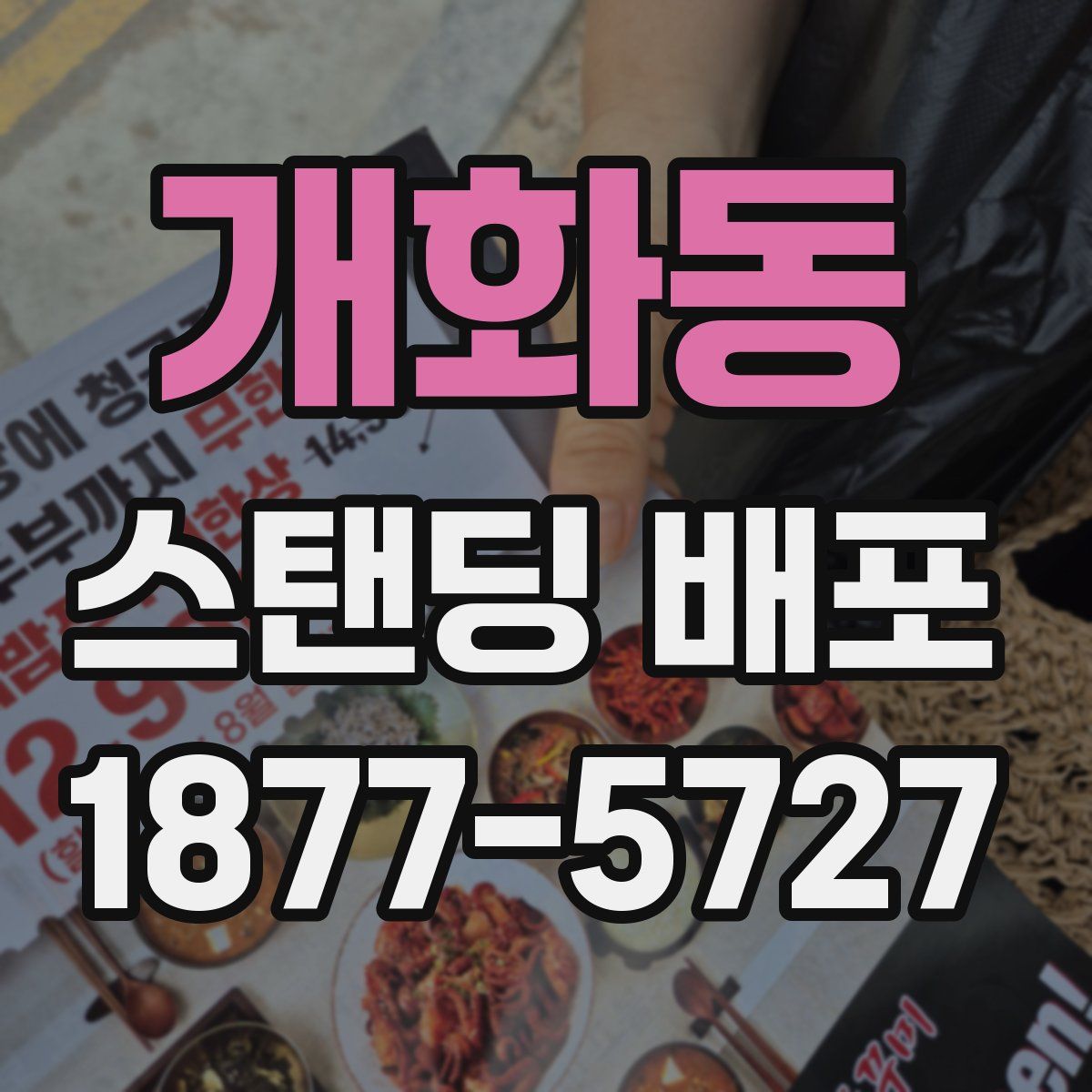 개화동 스탠딩 배포