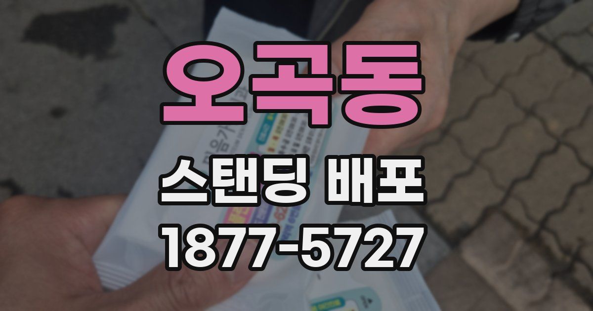 오곡동 스탠딩 배포