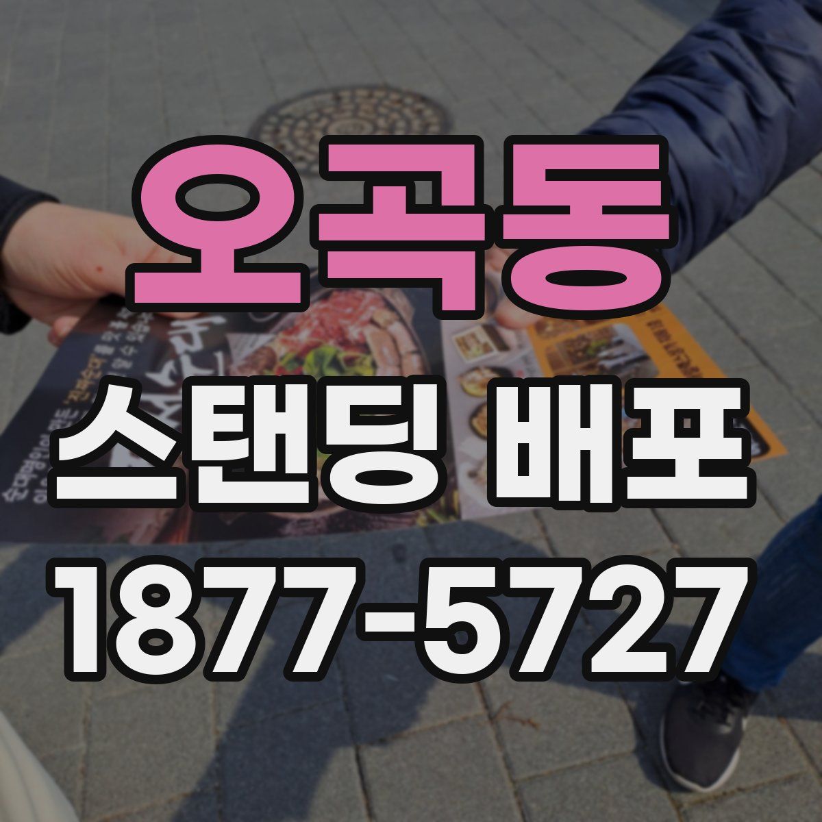 오곡동 스탠딩 배포