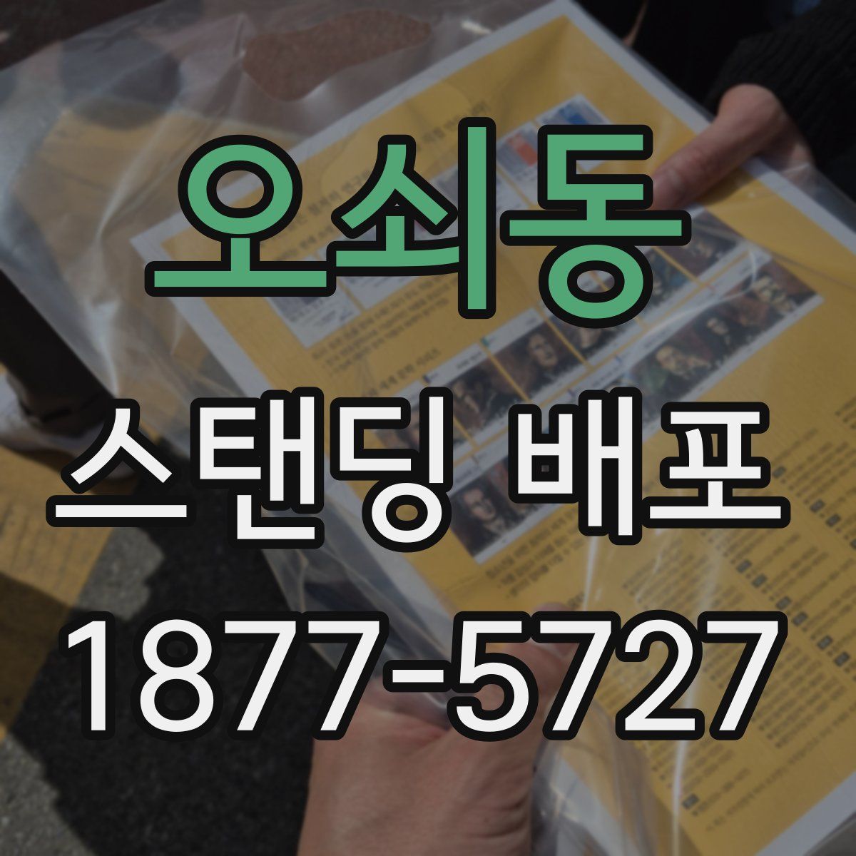 오쇠동 스탠딩 배포